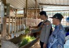 Bhabinkamtibmas-Desa-Janti-Silaturahmi-Peternak-Kambing-Dukung-Ketahanan-Pangan