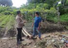Bersaing-Wujudkan-Ketahanan-Pangan,-Warga-Taman-Sidoarjo-Kembangkan-Tanaman-Buah-Anggur