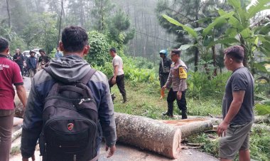 Sigap,-Polisi-bersama-Warga-Tangani-Longsor-di-Ponorogo,-Jalur-Ngrayun-Jajar-Kembali-Lancar