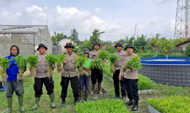 Polsek-Balongbendo-bersama-Warga-Bakungtemenggungan-Panen-Kangkung-di-Pekarangan-Bergizi