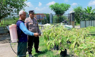 Bhabinkamtibmas-Tinjau-Pekarangan-Pangan-Bergizi-di-Desa-Bakung-Temenggungan