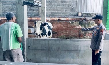 Perhatikan-Kualitas-Ternak-Sapi,-Dukung-Peningkatan-Gizi-Masyarakat
