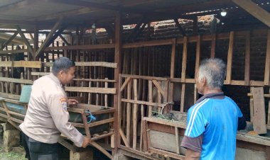 Polsek-Wonoayu-Motivasi-Peternak-Kambing-Etawa-Dukung-Ketahanan-Pangan-Polresta-Sidoarjo