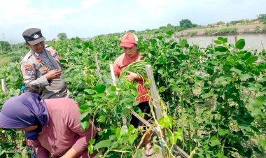 Bhabinkamtibmas-Desa-Kupang-Sambangi-Warga,-Dukung-Pekarangan-Pangan-Bergizi-(P2B)
