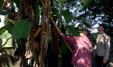 Bhabinkamtibmas-Desa-Sumberejo-Polsek-Wonoayu-Cek-Lahan-Kosong-untuk-Dukung-Ketahanan-Pangan