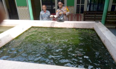 Kanit-Binmas-Polsek-Krembung-dan-Kades-Lemujut-Tinjau-Budidaya-Ikan-Gurami-dan-Lele-di-Lahan-Bumdes