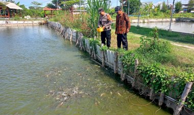 Bhabinkamtibmas-Desa-Tropodo-Tinjau-Kolam-Ikan-Bumdes-Dukung-Ketahanan-Pangan