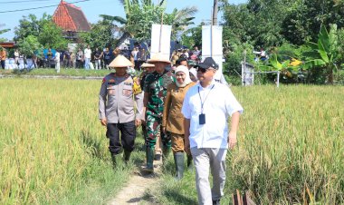 Dukung-Ketahanan-Pangan-Kapolda-Jatim-Bersama-Forkopimda-Panen-Raya-Padi-di-Ngawi