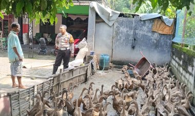 Kapolsek-Tarik-Instruksikan-Patroli-Desa-Sambil-Cek-Program-Ketahanan-Pangan