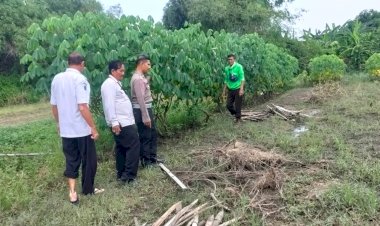 POLRESTA-SIDOARJO-I-Kolaborasi-Polisi-dan-Pemdes-Dorong-Ketahanan-Pangan-Lewat-Pemanfaatan-Pekarangan-Kosong-di-Desa-Cemengkalang