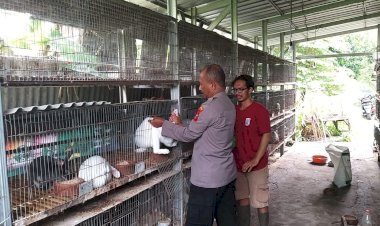 POLRESTA-SIDOARJO-|-Kanit-Binmas-Polsek-Taman-Edukasi-Perawatan-Hewan-Ternak-Guna-Sukseskan-Ketahanan-Pangan