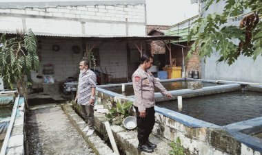 Bhabinkamtibmas-Cek-Efektivitas-Lahan-Pekarangan-Pangan-Bergizi-Ikan-Lele-di-Desa-Durungbedug