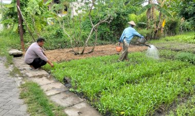 Inspirasi-Ketahanan-Pangan-dengan-Optimalisasi-Lahan-Kosong,-Warga-Banjarbendo-Tanam-Sayuran