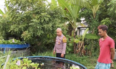 Topang-Ketahanan-Pangan,-Bhabinkamtibmas-Apresiasi-Budidaya-Ikan-Gurami-di-Kedungpeluk