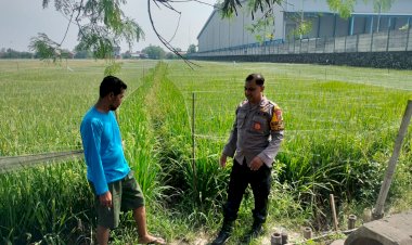 Polsek-Porong-Masifkan-Peran-Bhabinkamtibmas-Dampingi-Warga-Penggerakan-Ketahanan-Pangan