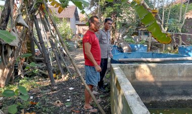 Bhabinkamtibmas-Tulangan-Tinjau-Lahan-Ketahanan-Pangan-Ikan-Nila