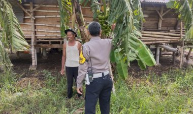 Polsek-Buduran-Masifkan-Peran-Bhabinkamtibmas-dalam-Peninjauan-Program-Ketahanan-Pangan-Asta-Cita-Presiden-RI