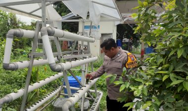 Bhabinkamtibmas-Apresiasi-Program-Ketahanan-Pangan-Pemdes-Sidodadi-Lewat-Budidaya-Hidroponik