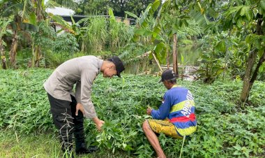 Semangat-Warga-Desa-Janti-Dukung-Ketahanan-Pangan,-Manfaatkan-Pekarangan-Kosong-untuk-Tanam-Kangkung