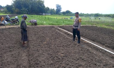 Kanit-Binmas-Polsek-Krembung-Bersama-Petani-Apresiasi-Ketahanan-Pangan-Bawang-Merah-di-Desa-Lemujut