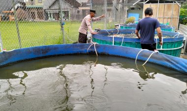 Bhabinkamtibmas-Dorong-Warga-Entalsewu-Manfaatkan-Pekarangan-Kosong-untuk-Budidaya-Ikan-Lele
