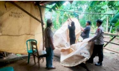Polisi-Bongkar-Arena-Perjudian-Sabung-Ayam-di-Ngronggot-Nganjuk