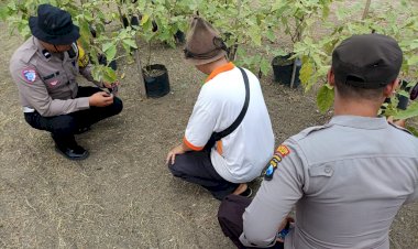 Polsek-Balongbendo-Edukasi-Warga-Kembangkan-Lahan-Tidur-untuk-Dukung-Ketahanan-Pangan