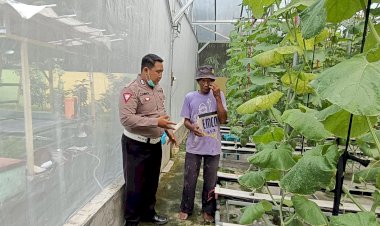 Upaya-Masif-Ketahanan-Pangan,-Tanaman-Melon-Hidroponik-di-Gempol-Klutuk-Berkembang-Pesat