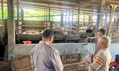 Anggota-Polsek-Sukodono-Cek-Ketahanan-Pangan-di-Peternakan-Kambing-Desa-Pademonegoro