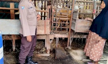 Dukung-Ketahanan-Pangan-Polresta-Sidoarjo,-Bhabinkamtibmas-Kunjungi-Peternakan-Warga-di-Desa-Kemantren