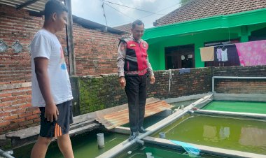 Bhabinkamtibmas-Juwetkenongo-Polsek-Porong-Tinjau-Program-Ketahanan-Pangan-Lewat-Budidaya-Ikan-Nila