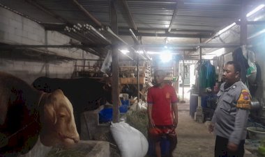 Wujud-Ketahanan-Pangan-Bergizi,-Puluhan-Hewan-Kurban-di-Desa-Bangsri-Siap-Dipasarkan-Sambut-Idul-Adha