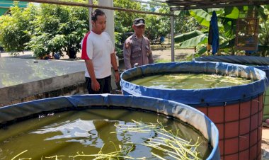 Bhabinkamtibmas-Desa-Trosobo-Polsek-Taman-Dukung-Ketahanan-Pangan-Bergizi-Lewat-Pembesaran-Ikan-Lele