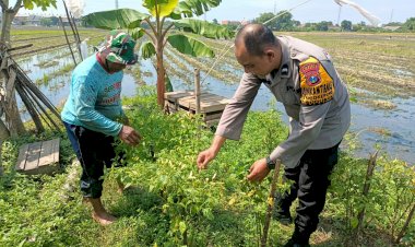 Bhabinkamtibmas-Sambangi-petani,-Dukung-Program-Ketahanan-Pangan-Polresta-Sidoarjo