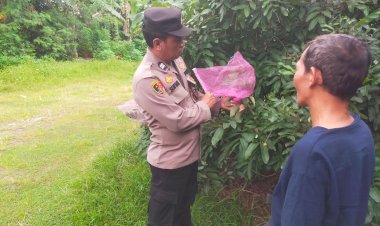 Bhabinkamtibmas-Polsek-Taman-Aiptu-Suntari-Penggerak-Ketahanan-Pangan,-Ajak-Tanam-Buah-Kelengkeng