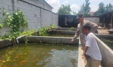 Bhabinkamtibmas-Sambangi-Desa-Segodobancang,-Dukung-Ketahanan-Pangan-Lewat-Budidaya-Ikan-Nila