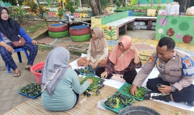 Swadaya-Mandiri-Kembangkan-Kebun-Hidroponik