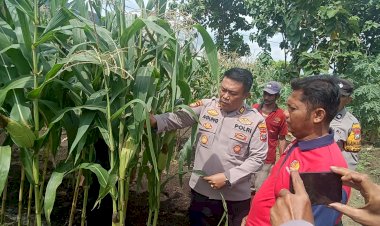 Polisi-Cinta-Petani,-Turun-Langsung-Cek-Lahan-Ketahanan-Pangan
