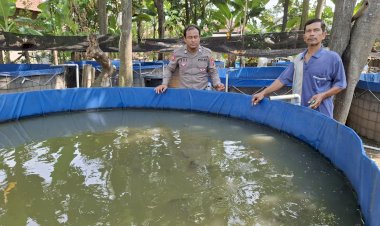 Polsek-Wonoayu-Apresiasi-Perkembangan-Budidaya-Lele-untuk-Topang-Ketahanan-Pangan