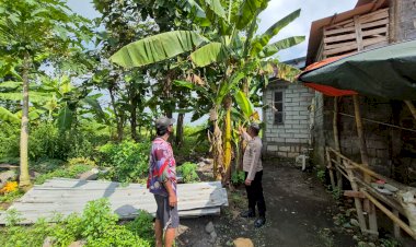 Polsek-Wonoayu-Dukung-P2B-Tanaman-Pisang