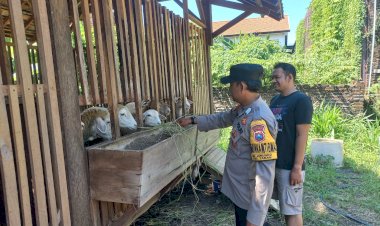Warga-Jemundo-Budidaya-Kambing-Etawa-di-Pekarangan