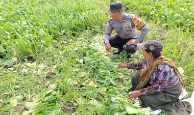 Polisi-Sambangi-Lahan-Sayur-Warga-di-Sidoarjo,-Dukung-Ketahanan-Pangan-Lokal