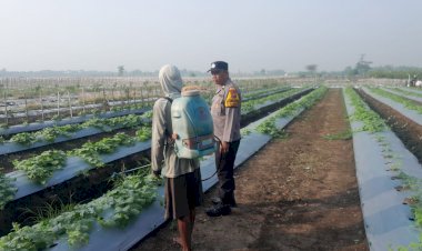 Polisi-dan-Warga-Optimalkan-Lahan-Melon-Demi-Ketahanan-Pangan-di-Desa-Kelopo-Sepuluh