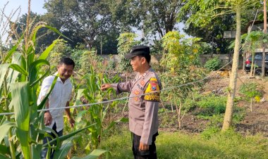 Bhabinkamtibmas-Polsek-Taman-Bersama-Warga-Tanam-Jagung-Dukung-Ketahanan-Pangan-Sidoarjo