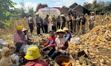 Menuju-Swasembada-Pangan,-Kapolres-Trenggalek-Bersama-Warga-Panen-Raya-Jagung