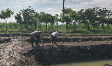 Dukung-Ketahanan-Pangan,-Polsek-Krian-Polresta-Sidoarjo-Pantau-Lahan-Jagung-Ponpes-Al-Amanah-Junwangi