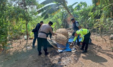 Polsek-Waru-Turun-Langsung-Tindaklanjuti-Informasi-Arena-Sabung-Ayam-di-Desa-Bungurasih