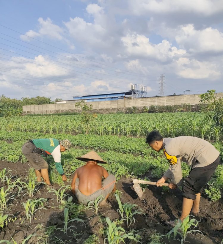 Petani Desa Sukorejo Apresiasi Kepedulian Bhabinkamtibmas