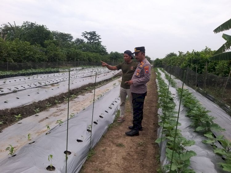 Kanit Binmas Polsek Taman Cek Lokasi Ketahanan Pangan Bergizi di Desa Sambibulu
