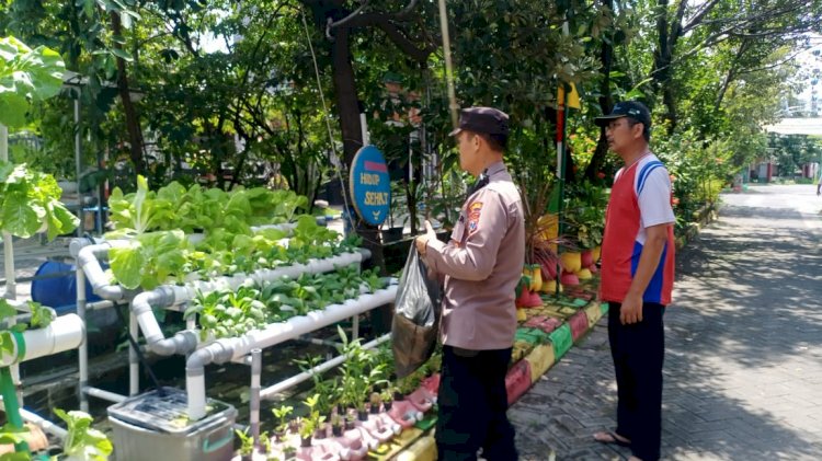 Warga Perum MCG Antusias Tanam Sayur Hidroponik Dukung Ketahanan Pangan